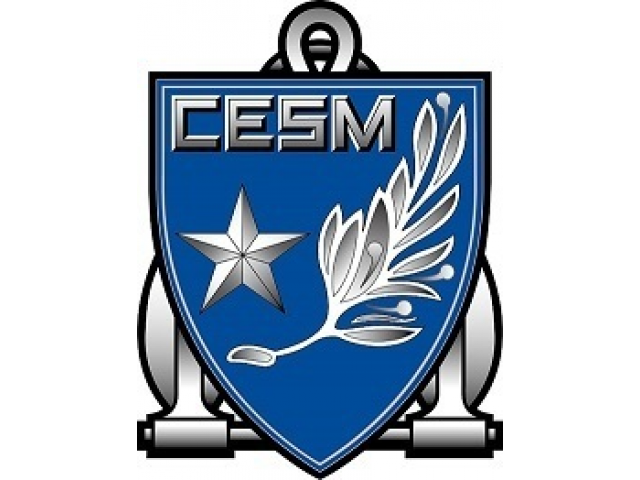  Le Centre d'Etudes Stratégiques de la Marine (CESM)