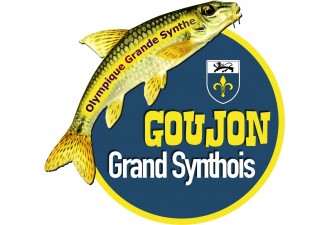 OGS Goujon Grand Synthois