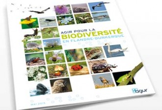 Agir pour la biodiversité en Flandre-Dunkerque