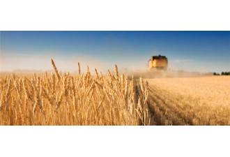 La « Toile Agricole et Agroalimentaire ® » rejoindra bientôt la famille des « toiles » de l’AGUR